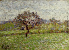 Ein Apfelbaum in Eragny Ein Apfelbaum in Eragny