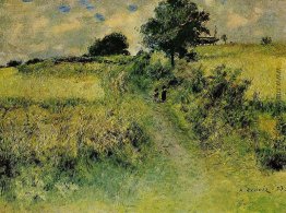 Das Feld Das Feld