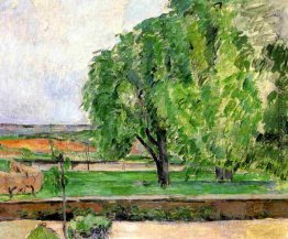 Landschaft am Jas de Bouffin Landschaft am Jas de Bouffin