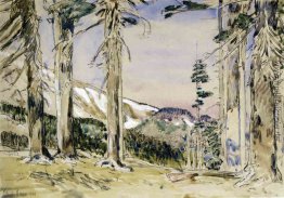 Ende des Timberline, Mt. Haube Ende des Timberline, Mt. Haube