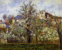 Der Gemüsegarten mit Bäumen in der Blüte, Frühling, Pontoise Der Gemüsegarten mit Bäumen in der Blüte, Frühling, Pontoise