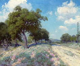 Straße durch die Bäume Straße durch die Bäume