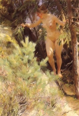 Unter einer Tanne Nude Unter einer Tanne Nude