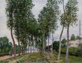 Lane von Pappeln am Ufer des Loing Lane von Pappeln am Ufer des Loing