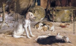 Fireside Träume Fireside Träume