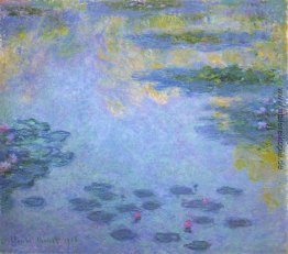 Wasserlilien Wasserlilien