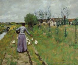 Landscape-Studie Landscape-Studie