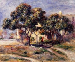 Mispel Bäume, Cagnes Mispel Bäume, Cagnes
