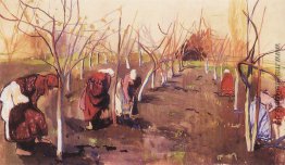 Graben Bäume im Garten Graben Bäume im Garten