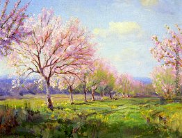 Peach Orchard auf Mavericks Farm Peach Orchard auf Mavericks Farm