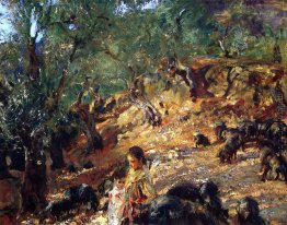 Ilex Wood in Mallorca mit Blau Pigs Ilex Wood in Mallorca mit Blau Pigs