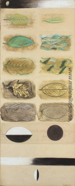 Life Cycle eines Blatt Life Cycle eines Blatt