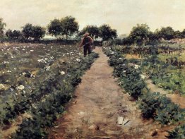 Das Potato Patch, auch bekannt als Garden Shinnecock Das Potato Patch, auch bekannt als Garden Shinnecock