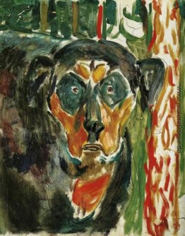 Kopf eines Hundes Kopf eines Hundes