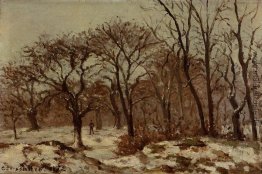 Chestnut Orchard im Winter Chestnut Orchard im Winter