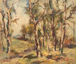 Birch Woods Birch Woods