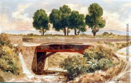 Barranca del Muerto Barranca del Muerto