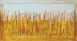 Campo di grano Campo di grano