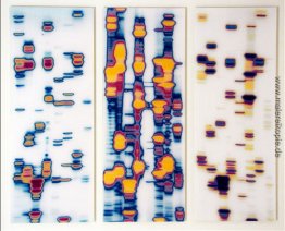 Doug, Joe und Genevieve (von The Garden of Delights) Doug, Joe und Genevieve (von The Garden of Delights)