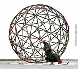 Hühnerstange Hühnerstange