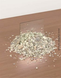Spiegel und Shell Spiegel und Shell