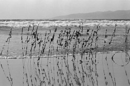 Haar und Drähte, Venice Beach Haar und Drähte, Venice Beach