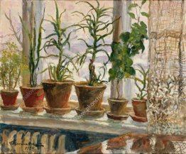 Winter-Fenster- Winter-Fenster-