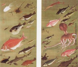 Krake und Fische Krake und Fische
