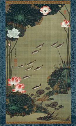 Lotus Pond und Fisch Lotus Pond und Fisch