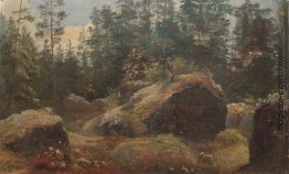 Boulders im Wald Boulders im Wald