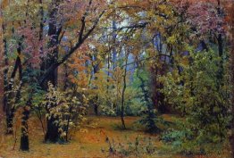 Herbstwald Herbstwald