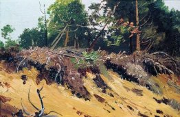 Landschaft. Cliff Landschaft. Cliff