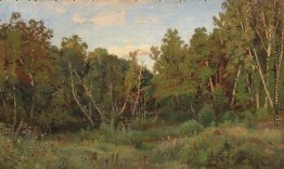 Waldlandschaft Waldlandschaft