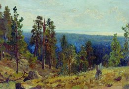 Wald horizont Wald horizont