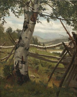 Sommerlandschaft mit Birke Sommerlandschaft mit Birke