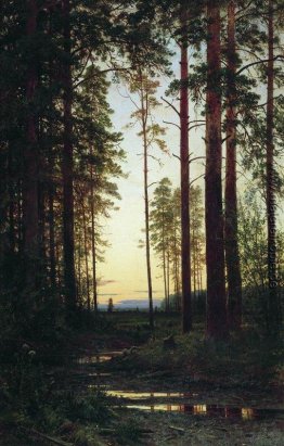 Dämmerung Dämmerung