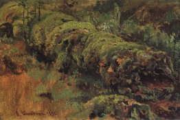 Morsches Holz, bedeckt mit Moos Morsches Holz, bedeckt mit Moos