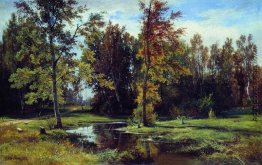 Birkenwald Birkenwald