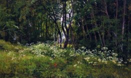 Blumen am Waldrand Blumen am Waldrand