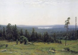 Der Wald Horizons Der Wald Horizons