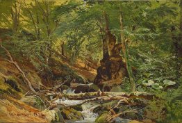 Waldlandschaft Waldlandschaft