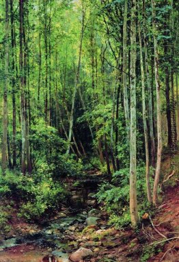Wald-Espen Wald-Espen