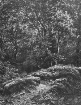Pfad in den Wald Pfad in den Wald