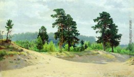 Waldrand Waldrand