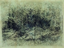 Ameisenhaufen Ameisenhaufen
