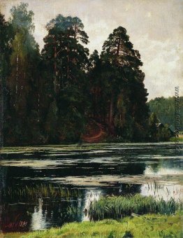 Teich Teich