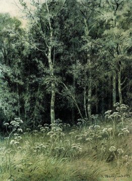 Blumen im Wald Blumen im Wald