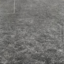 Perspektivenkorrektur Perspektivenkorrektur