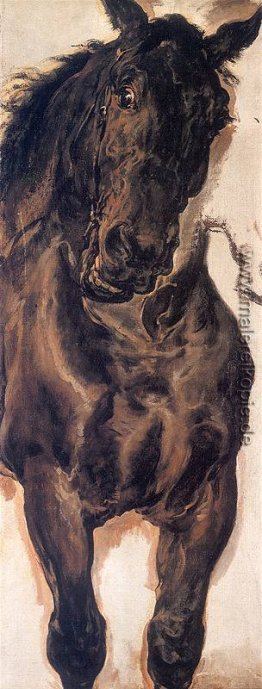 Schlacht von Grunwald (Detail) Schlacht von Grunwald (Detail)