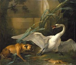 Swan von einem Hund angegriffen Swan von einem Hund angegriffen